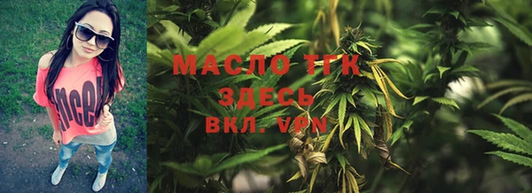 мет Елабуга