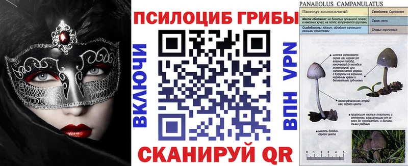 Галлюциногенные грибы MAGIC MUSHROOMS  купить наркоту  mega ONION  Кириллов 