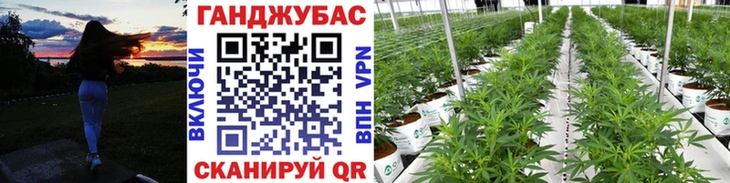 Марихуана THC 21%  Кириллов 